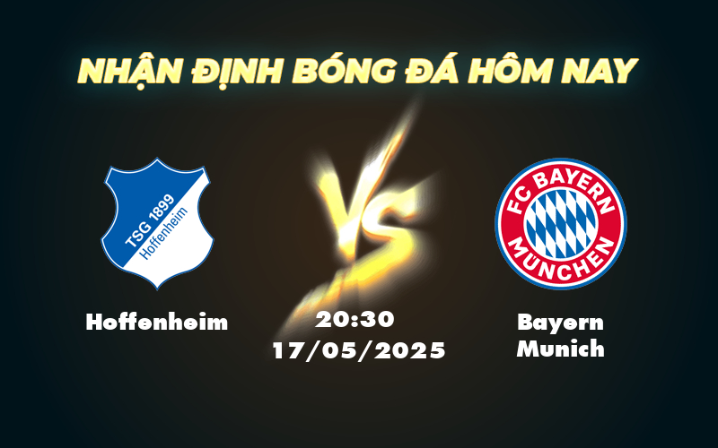 hoffenheim bayern munich 17 05 bundesliga