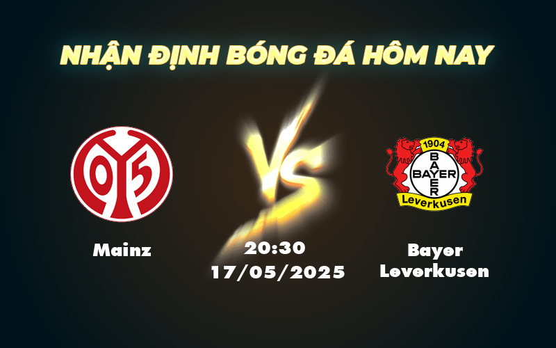 mainz bayer leverkusen 17 05 bundesliga