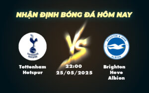tottenham hotspur brighton hove albion 25 05 ngoai hang anh